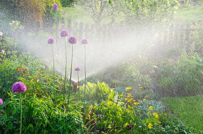 Automatic sprinker watering a garden