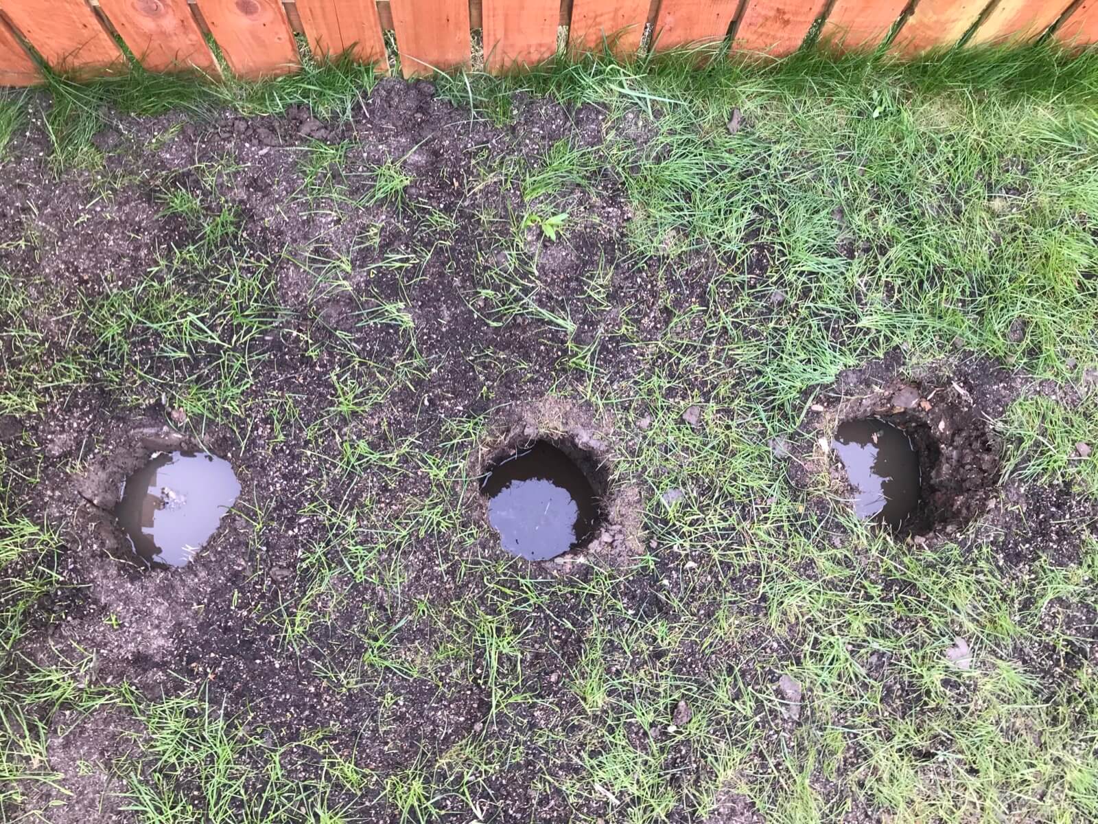 Drainage problem in garden
