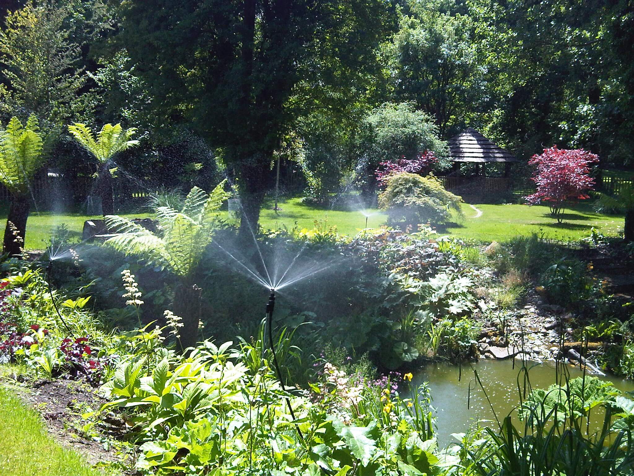 Water a garden - beaton irrigation
