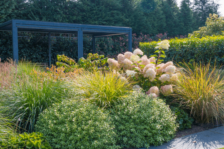 soft pastel garden planting soft pastel garden planting