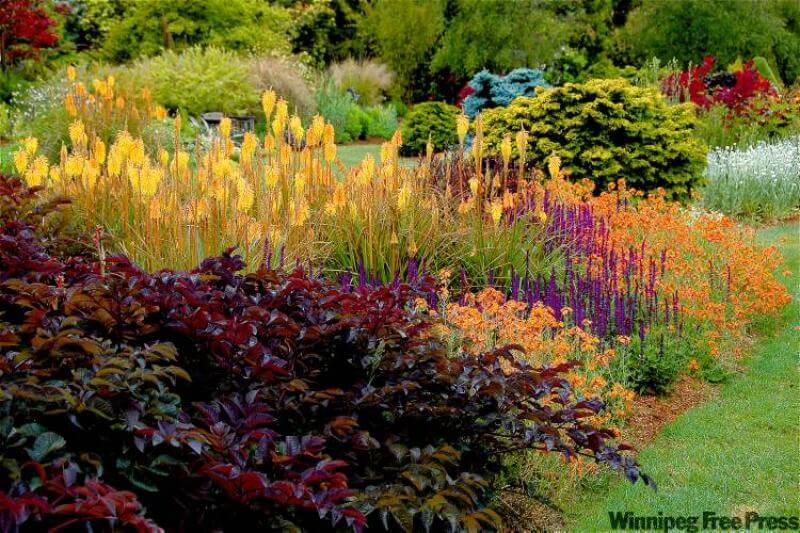 hot garden