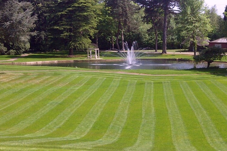 lawn-pond