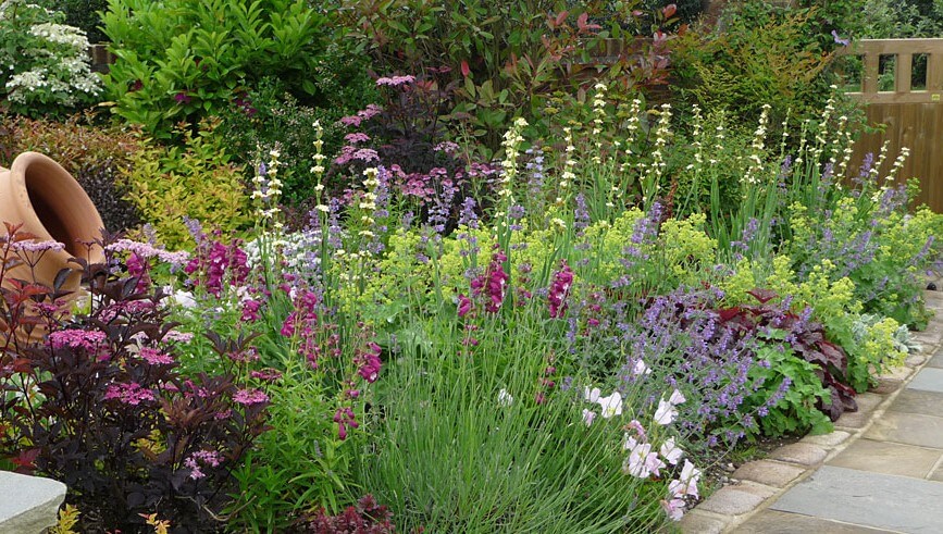 purple and lime green planting