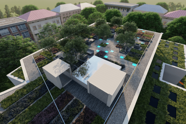 Concept of a modern rooftop garden with a living roof, trees and seating areas