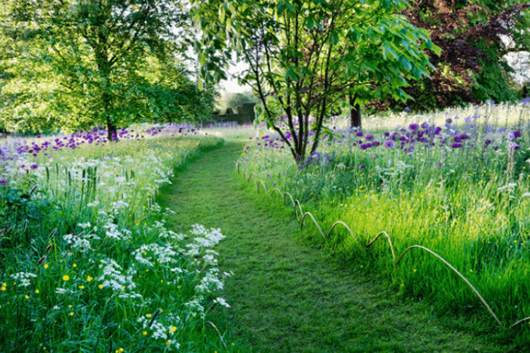 spring garden inspiration mown path through meadow