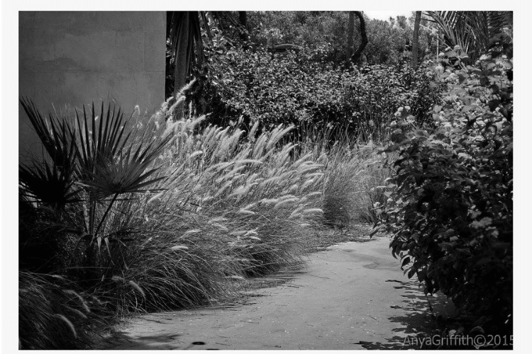Untitled design (36) spring garden inspiration mown path through meadow
