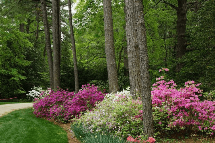 spring garden inspiration mown path through meadow