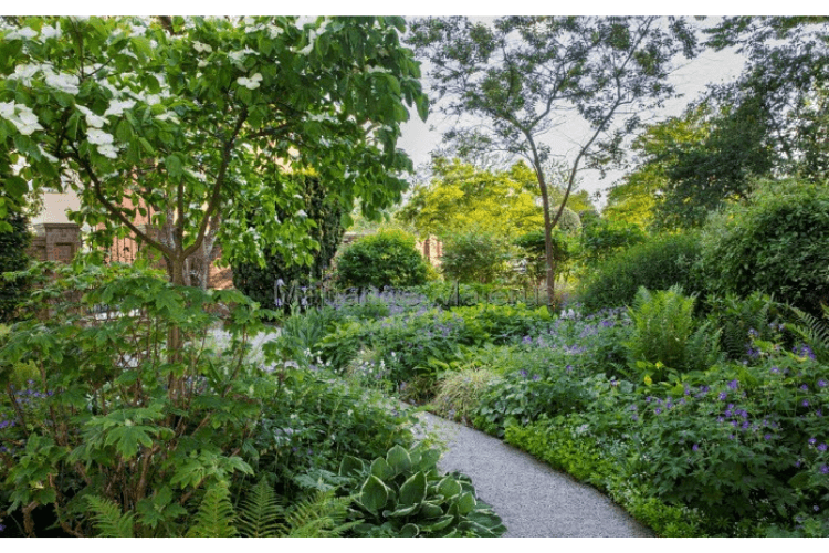 dense green shady plants spring garden inspiration mown path through meadow