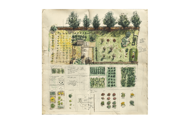 garden design spring garden inspiration mown path through meadow