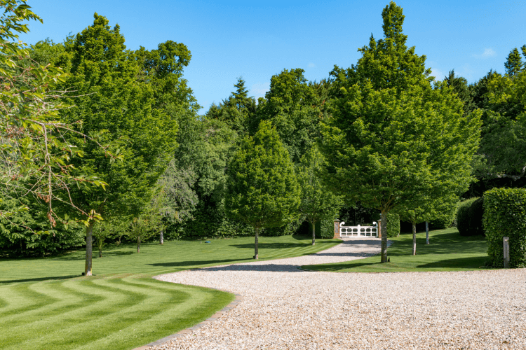 A curing gravel driveway leading to a gate, surrounded by lawn and trees