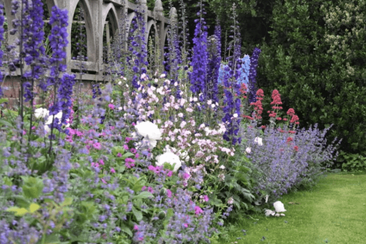 spring garden inspiration for hedgerows