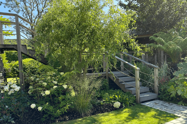 spring garden inspiration for hedgerows