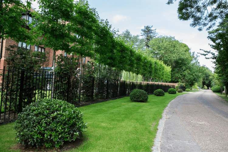 spring garden inspiration for hedgerows