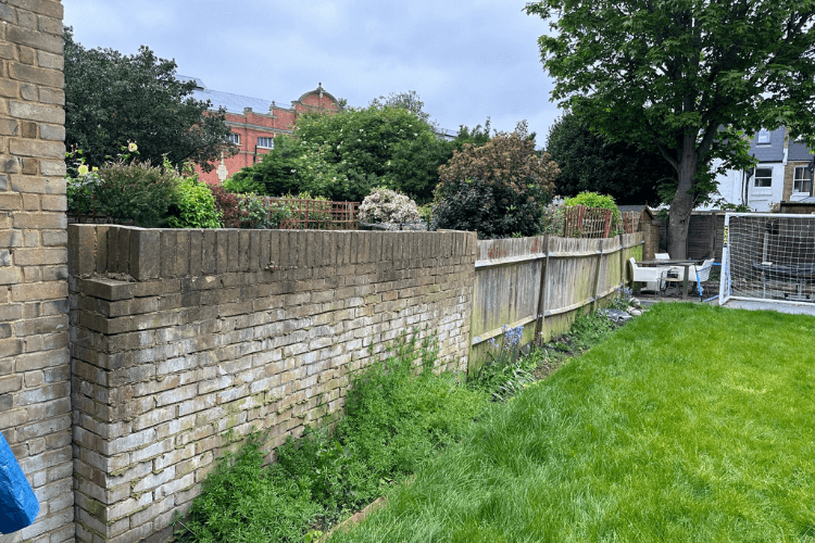 spring garden inspiration for hedgerows