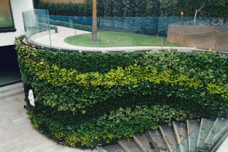 clever hedge and balustrade clever hedge and balustrade