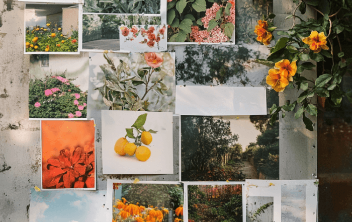 garden mood board