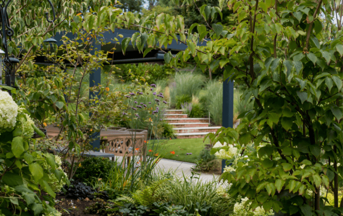 luscious green garden on many levels