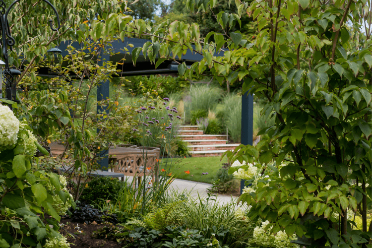 luscious green garden on many levels