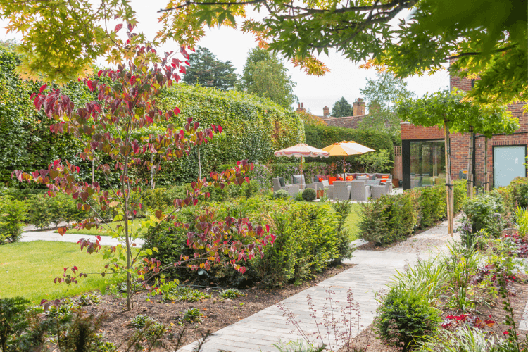 modern and traditional garden