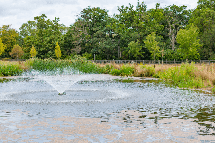 large formal pond in estate garden