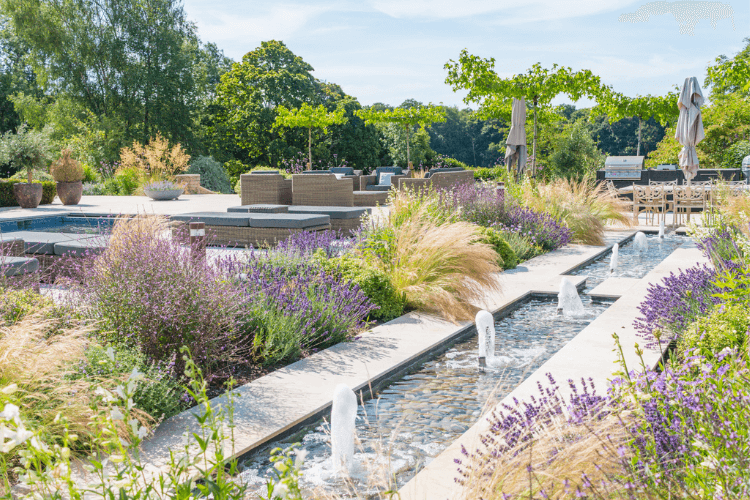 rill pond