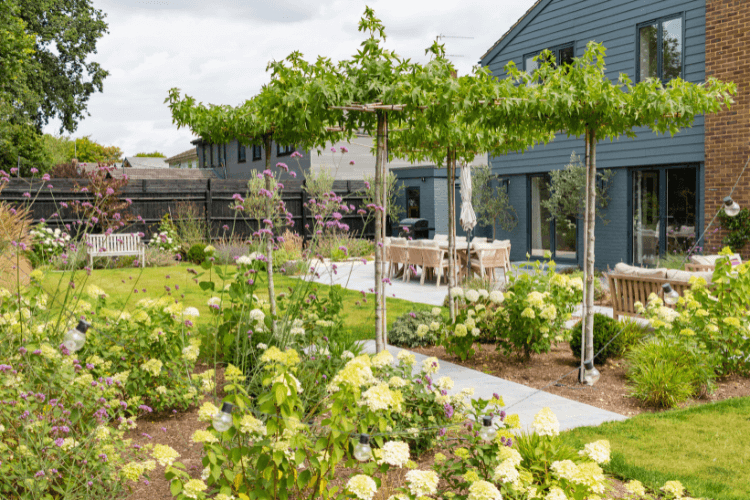 planting and dining in small garden