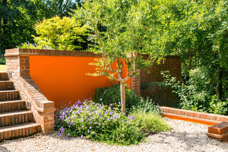 bright wall and planting