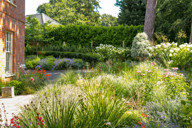 luscious planting
