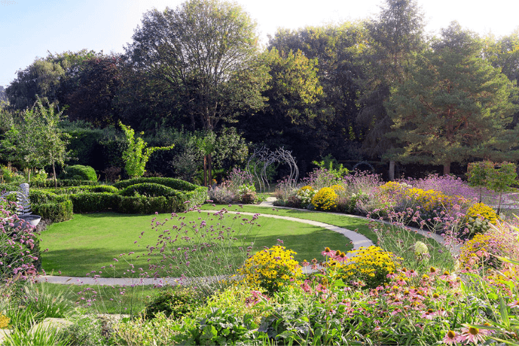 large designed lawn