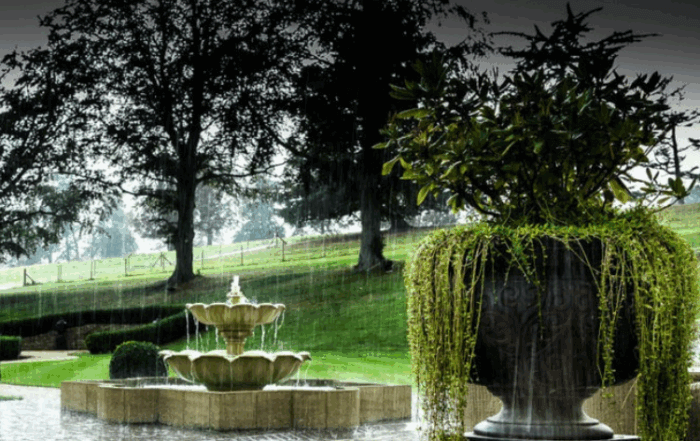 garden designed for rain