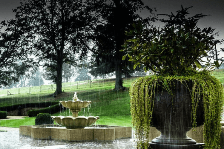 garden designed for rain