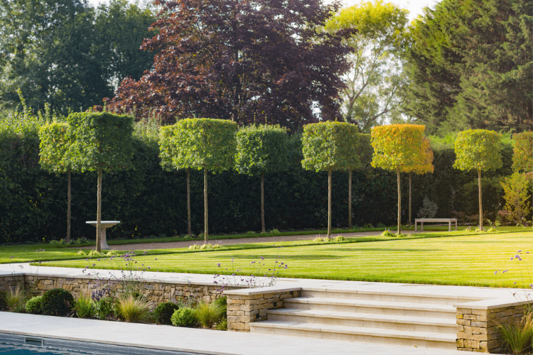 clipped hedging
