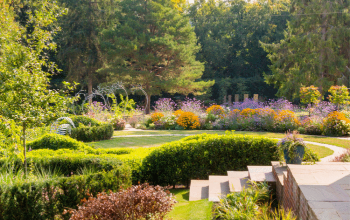 sculptured garden planting