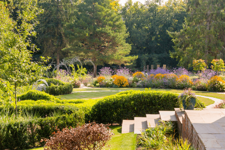 sculptured garden planting
