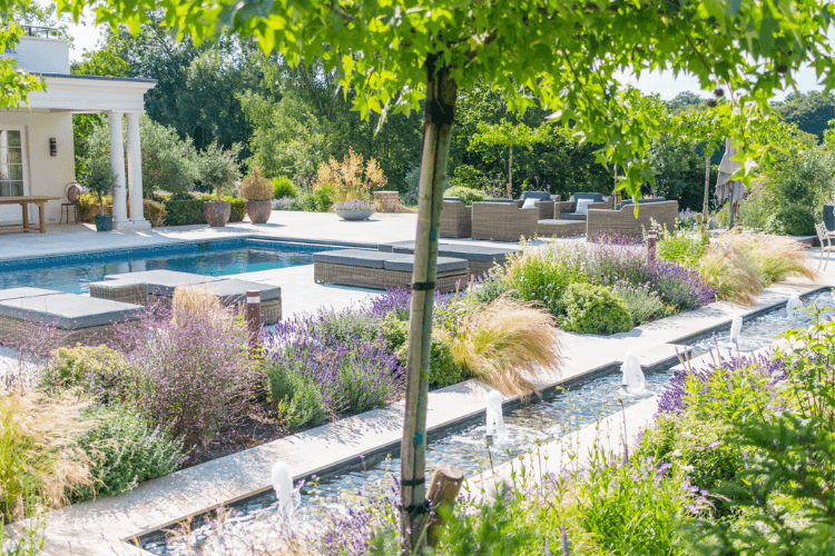 Mature garden showing seasonal planting and natural light changes, highlighting what AI in landscape design cannot replicate.