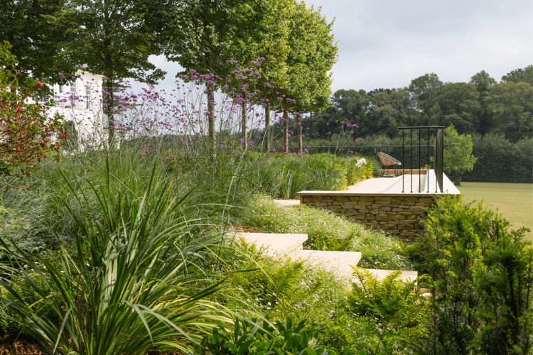 beautiful planting around seating